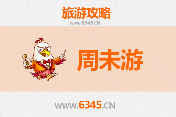 嘉义西区周末漫游攻略：从森林之歌到文化夜市的完美动线