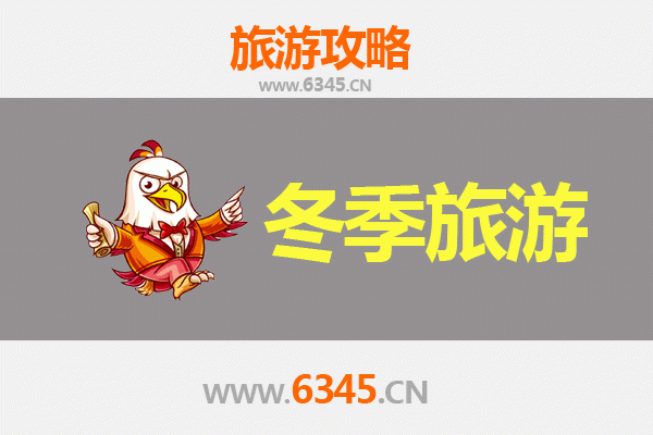 嘉义西区冬季漫游攻略：暖阳下的文化美食之旅